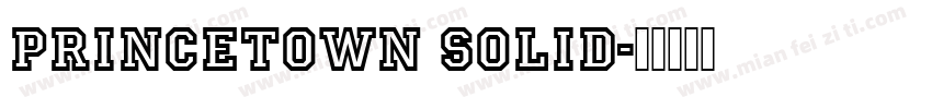princetown solid字体转换